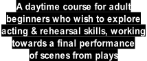 A daytime course for adult  beginners who wish to explore  acting & rehearsal skills, working  towards a final performance  of scenes from plays